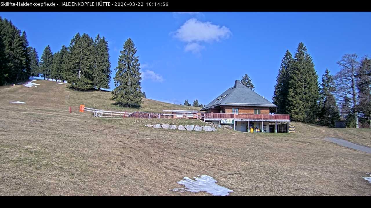 Archiv Foto Webcam Haldenköpfle im Schwarzwald - Hütte