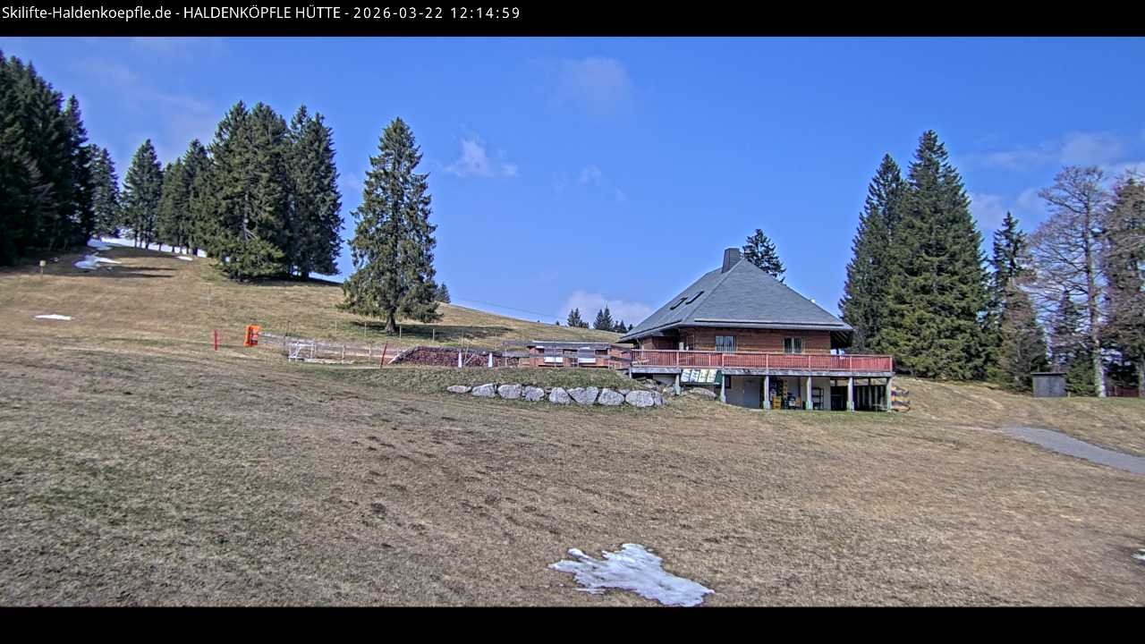 Archiv Foto Webcam Haldenköpfle im Schwarzwald - Hütte