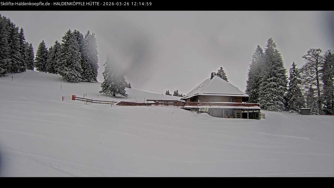 Archiv Foto Webcam Haldenköpfle im Schwarzwald - Hütte