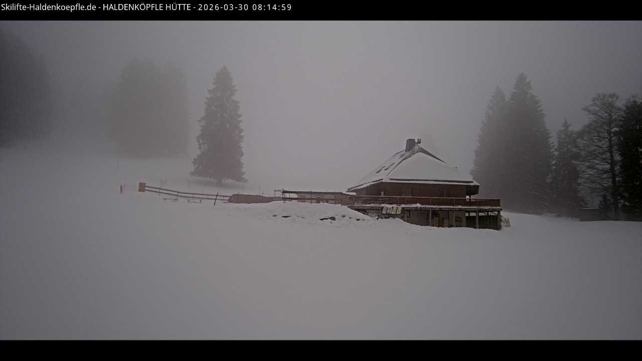 Archiv Foto Webcam Haldenköpfle im Schwarzwald - Hütte