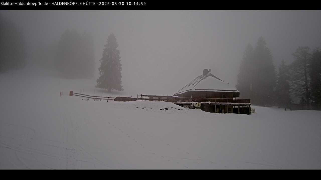 Archiv Foto Webcam Haldenköpfle im Schwarzwald - Hütte