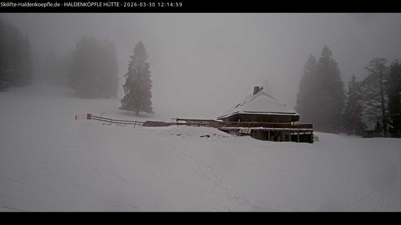Archiv Foto Webcam Haldenköpfle im Schwarzwald - Hütte