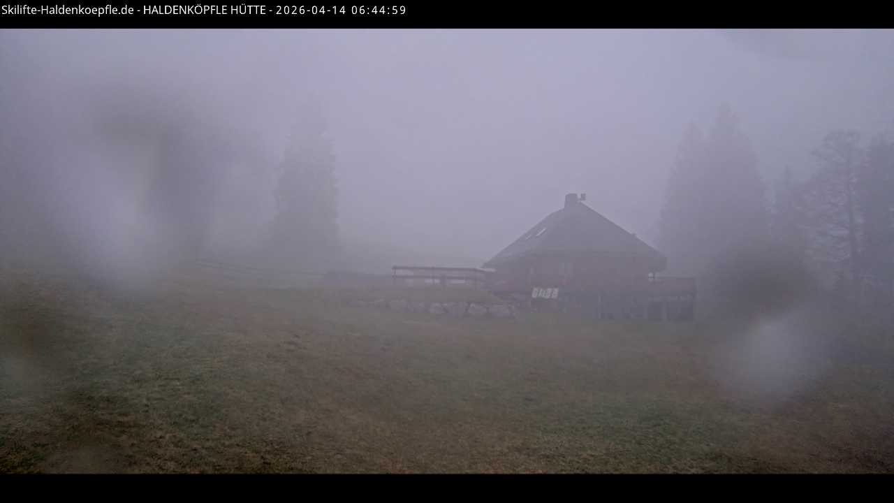 Archiv Foto Webcam Haldenköpfle im Schwarzwald - Hütte