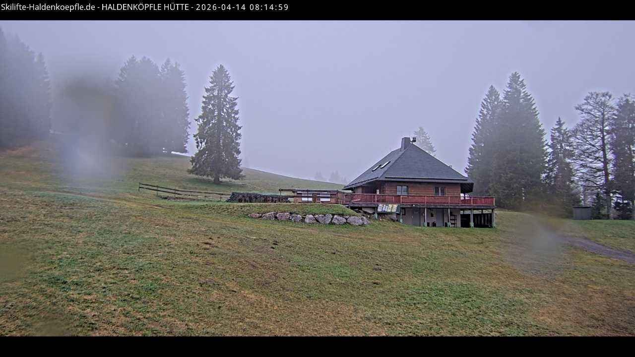 Archiv Foto Webcam Haldenköpfle im Schwarzwald - Hütte