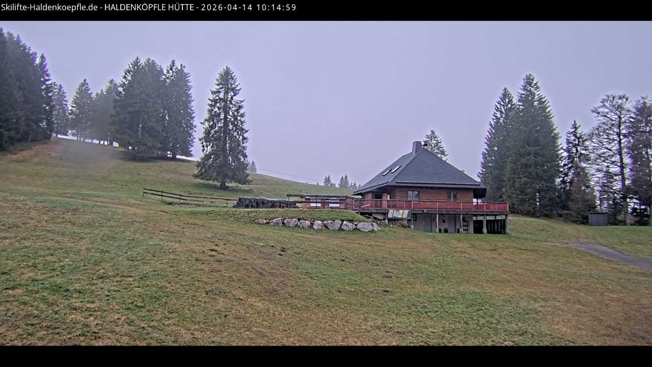 Archiv Foto Webcam Haldenköpfle im Schwarzwald - Hütte