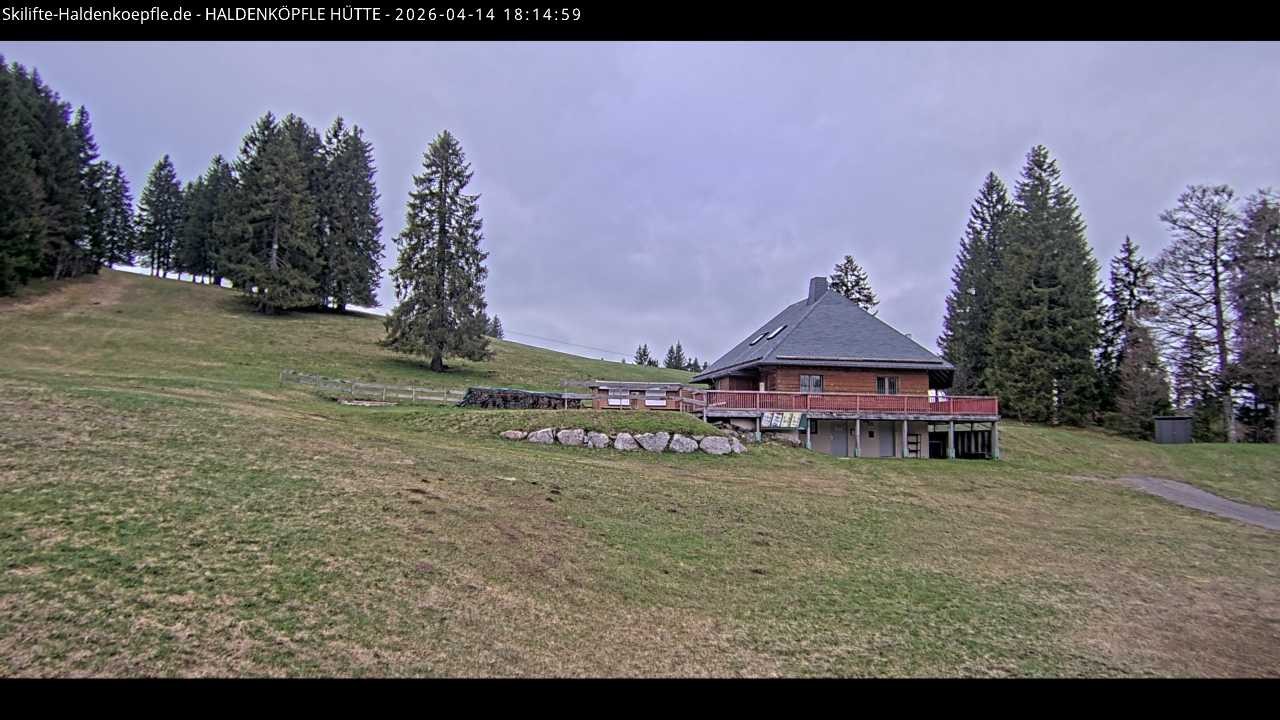 Archiv Foto Webcam Haldenköpfle im Schwarzwald - Hütte