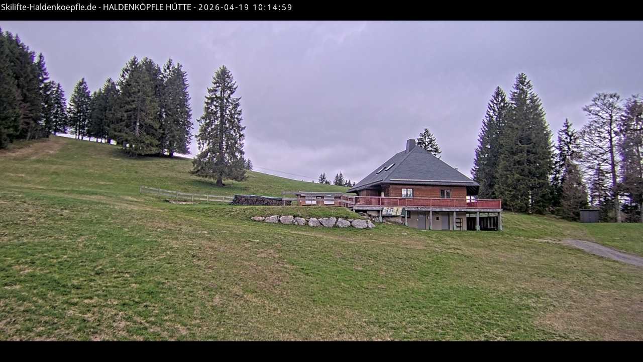 Archiv Foto Webcam Haldenköpfle im Schwarzwald - Hütte