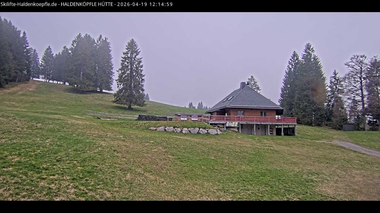 Archiv Foto Webcam Haldenköpfle im Schwarzwald - Hütte