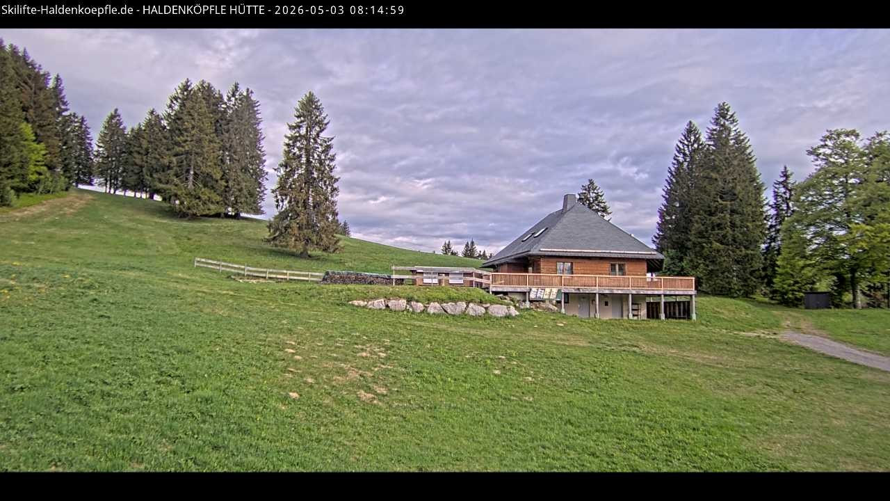 Archived image Webcam Haldenköpfle at Black Forest