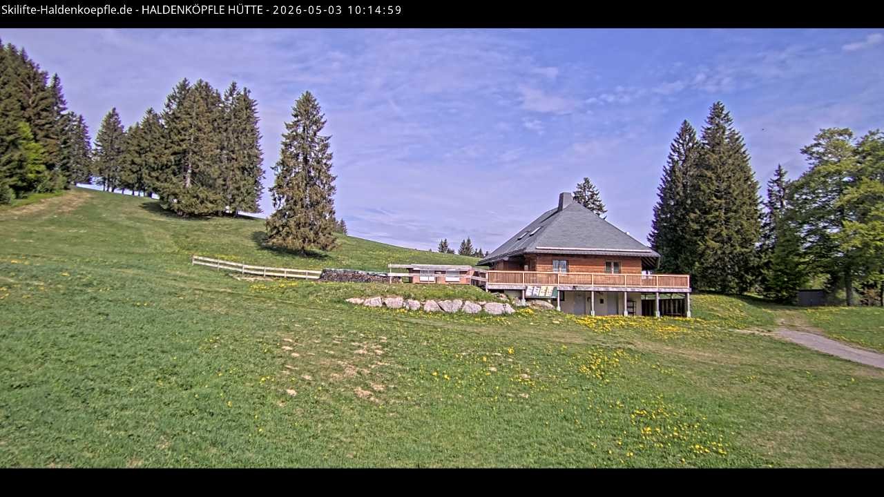 Archived image Webcam Haldenköpfle at Black Forest