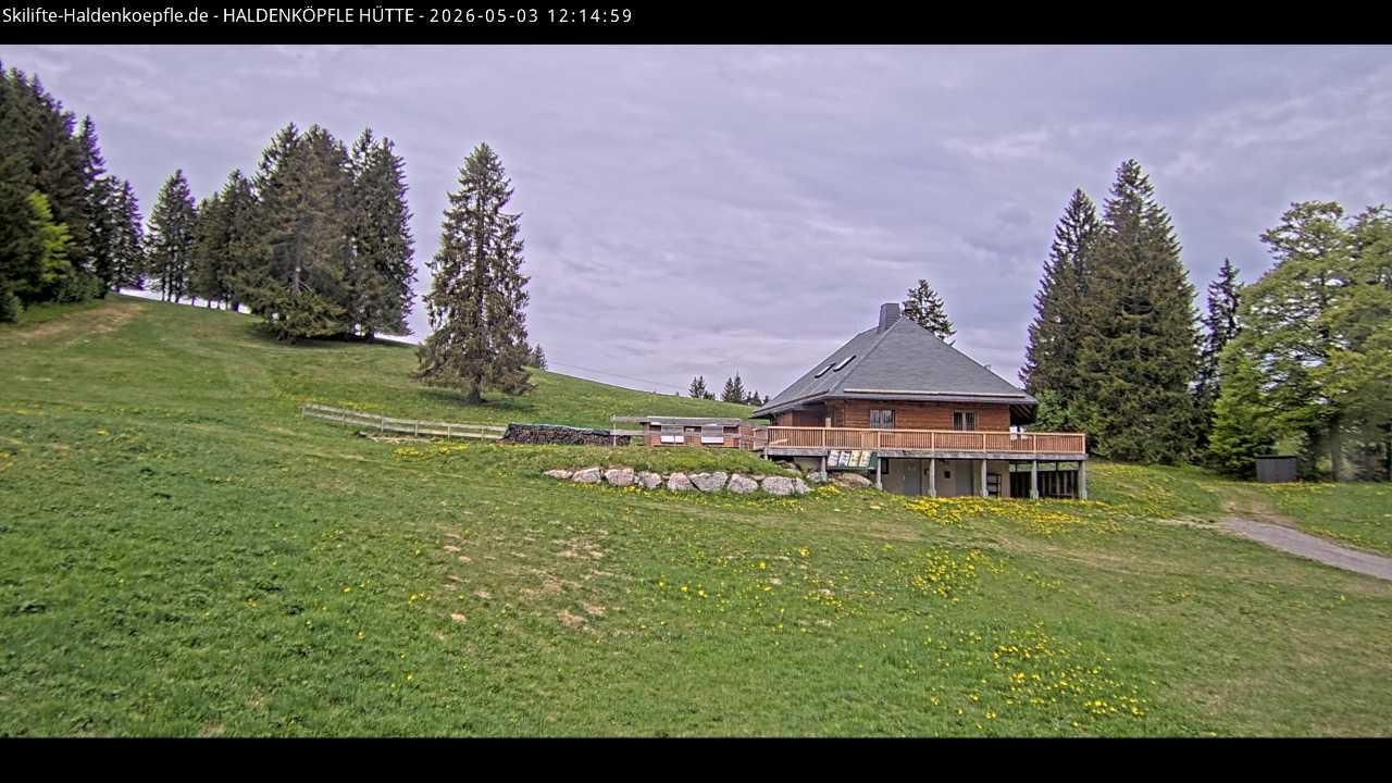 Archiv Foto Webcam Haldenköpfle im Schwarzwald - Hütte