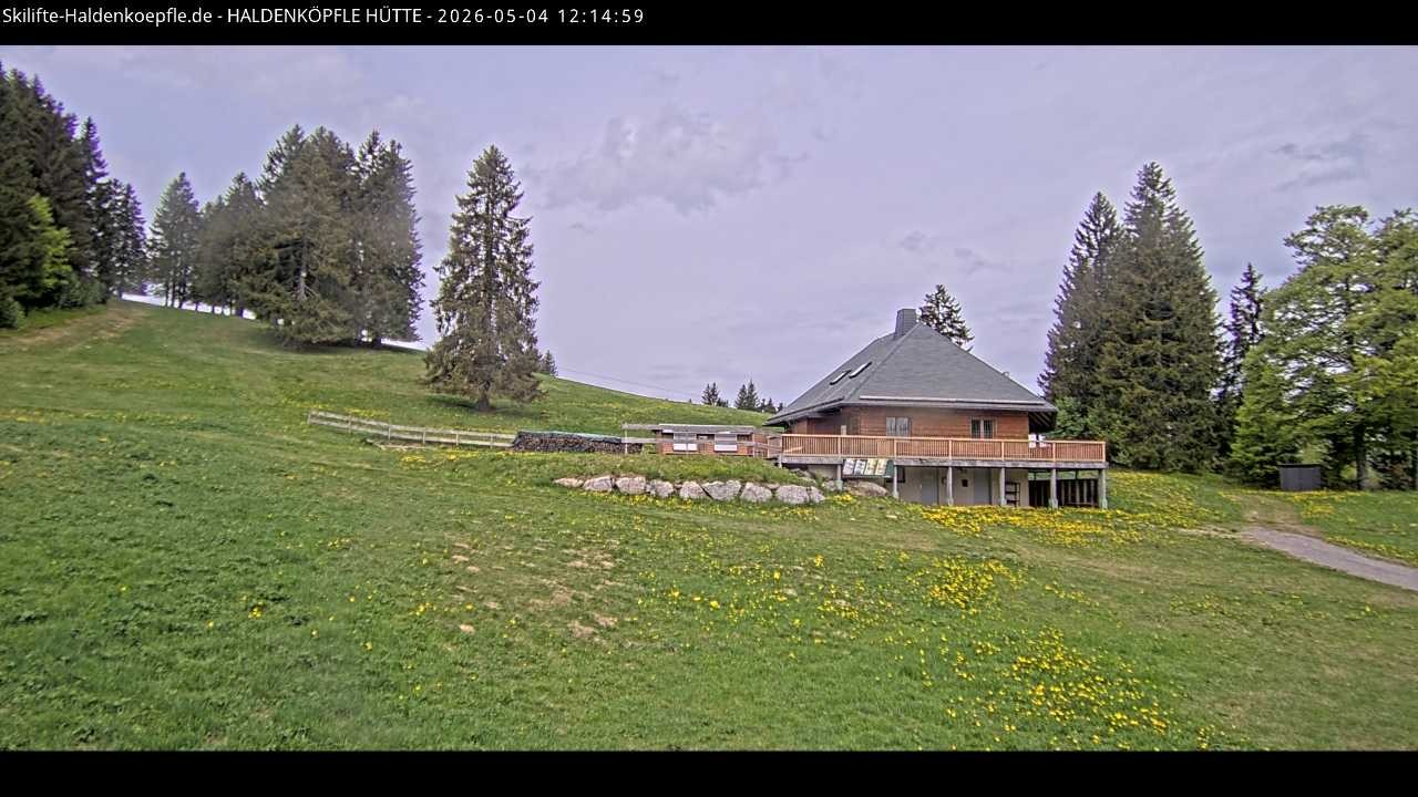 Archiv Foto Webcam Haldenköpfle im Schwarzwald - Hütte