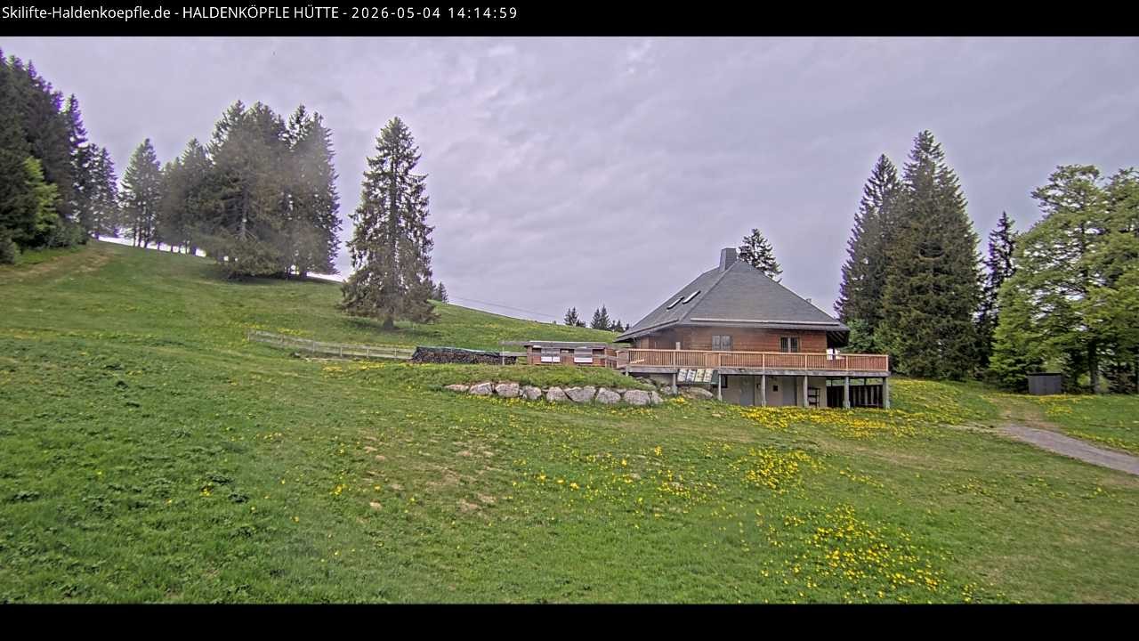 Archiv Foto Webcam Haldenköpfle im Schwarzwald - Hütte