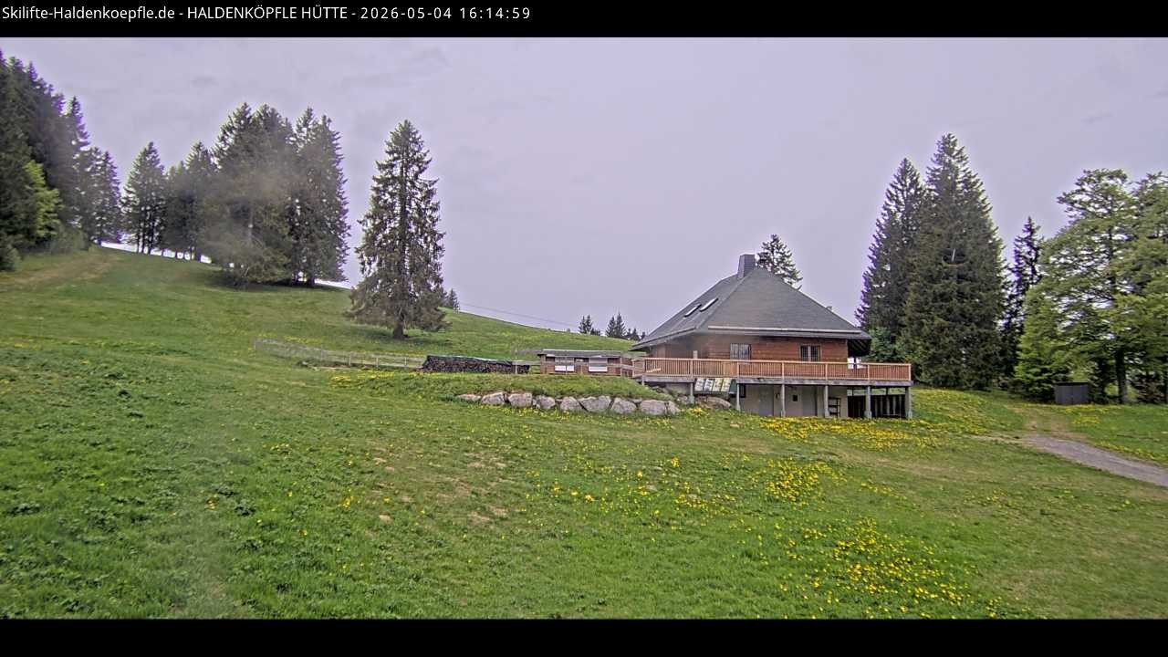 Archiv Foto Webcam Haldenköpfle im Schwarzwald - Hütte