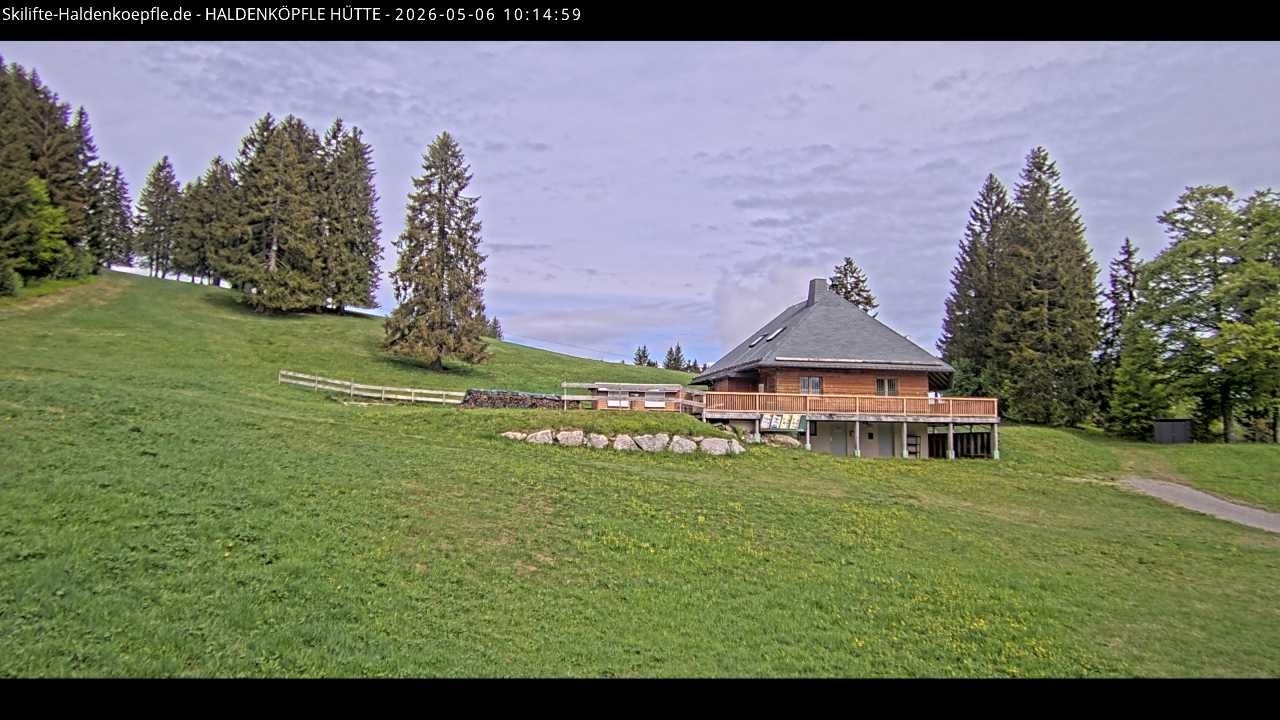 Archived image Webcam Haldenköpfle at Black Forest