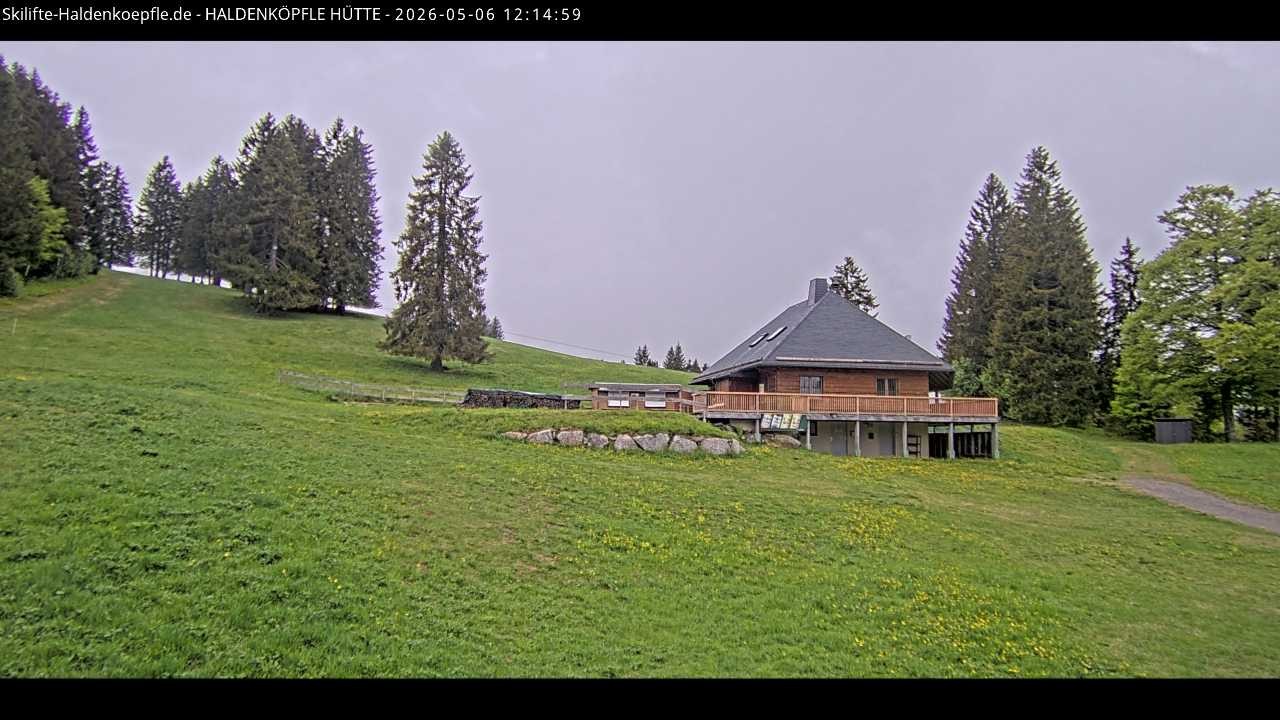 Archived image Webcam Haldenköpfle at Black Forest