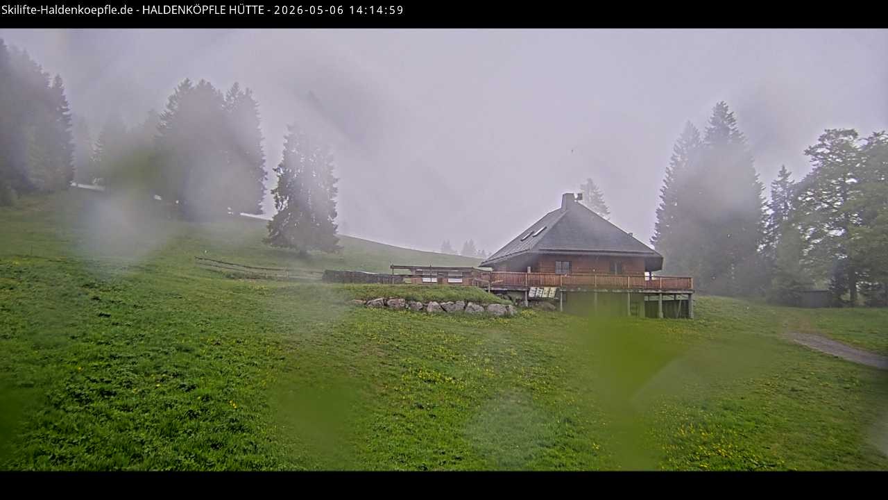 Archived image Webcam Haldenköpfle at Black Forest