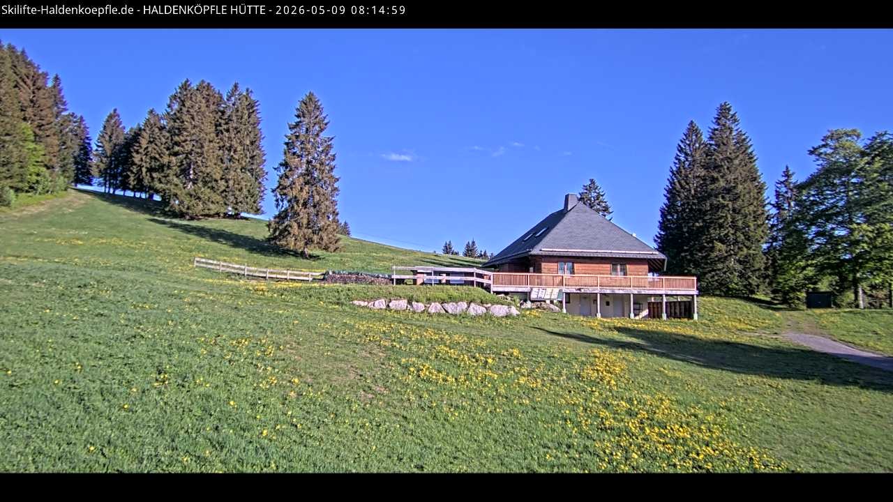 Archiv Foto Webcam Haldenköpfle im Schwarzwald - Hütte