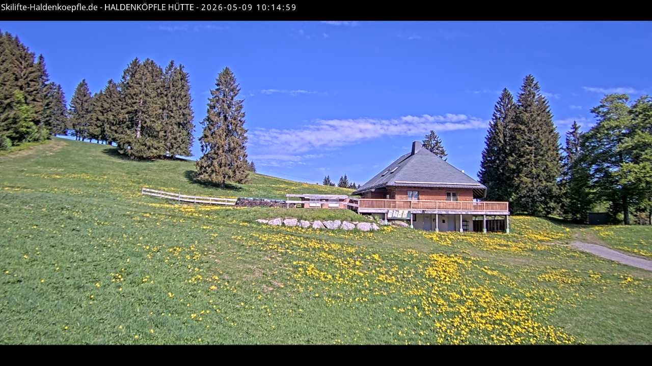 Archiv Foto Webcam Haldenköpfle im Schwarzwald - Hütte