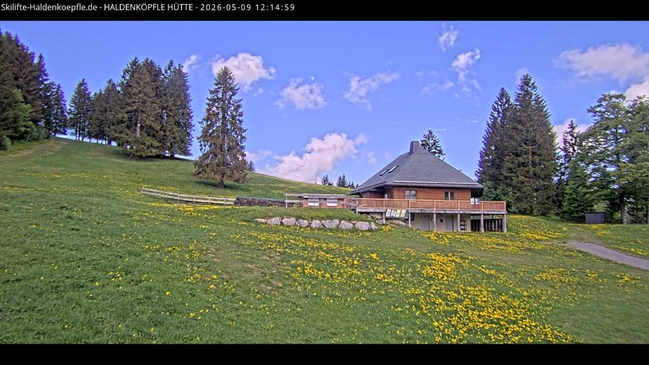 Archiv Foto Webcam Haldenköpfle im Schwarzwald - Hütte