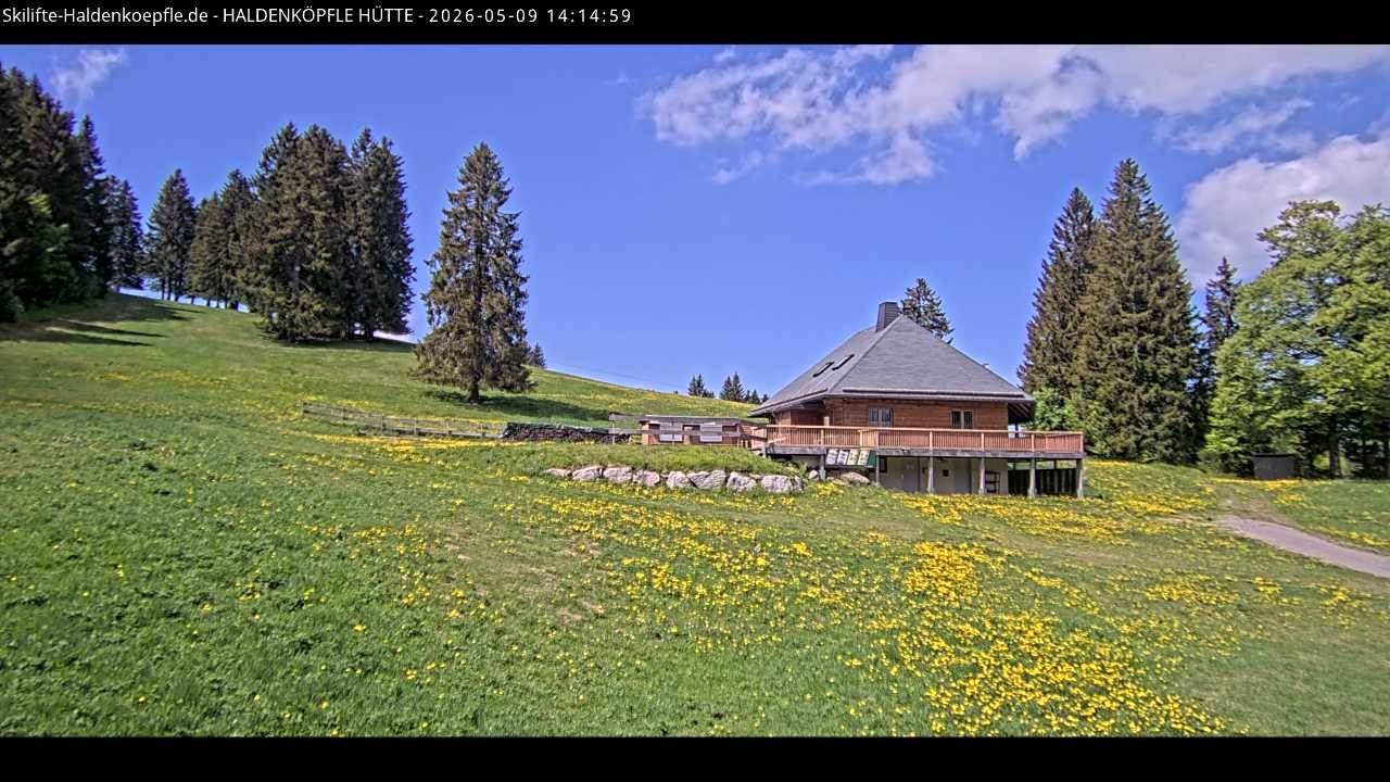 Archiv Foto Webcam Haldenköpfle im Schwarzwald - Hütte