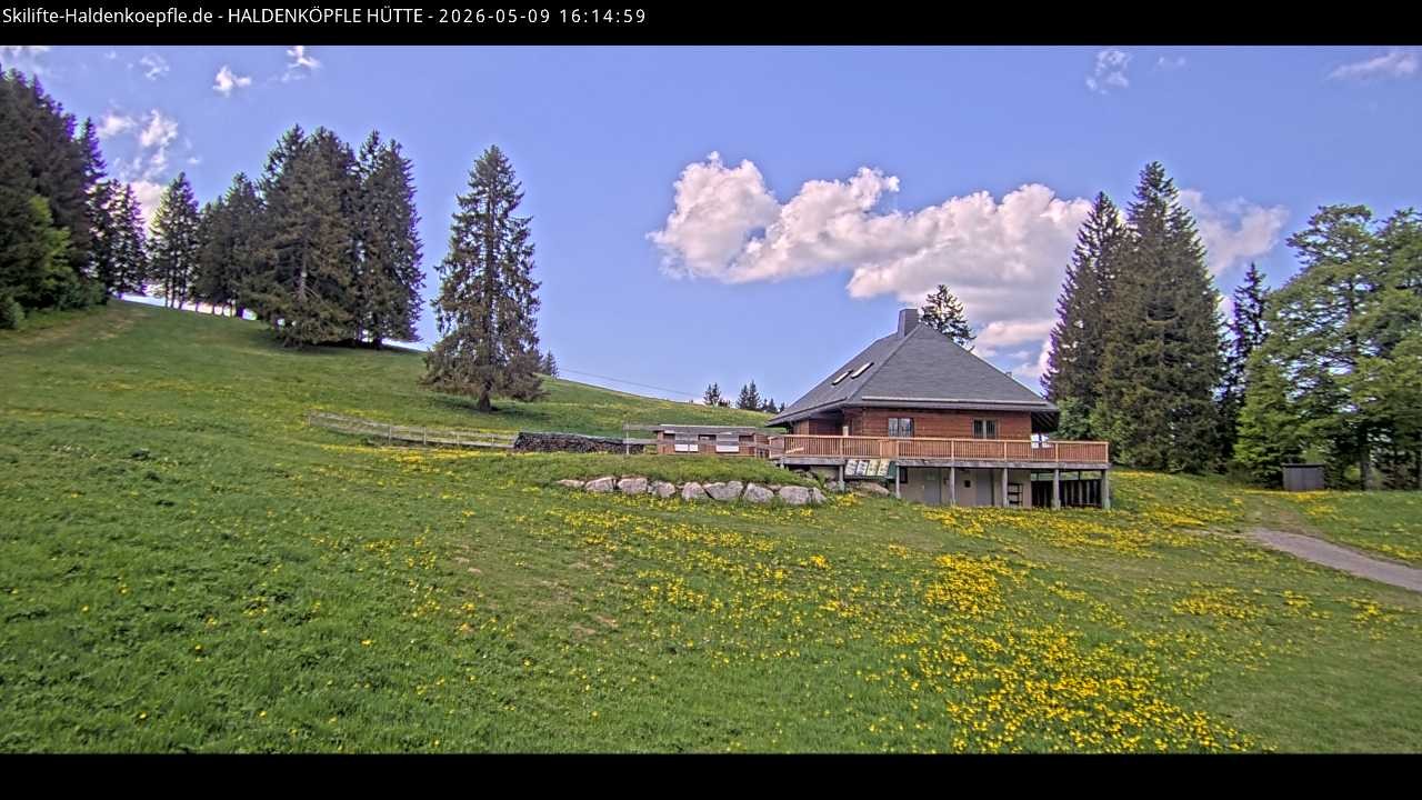 Archiv Foto Webcam Haldenköpfle im Schwarzwald - Hütte