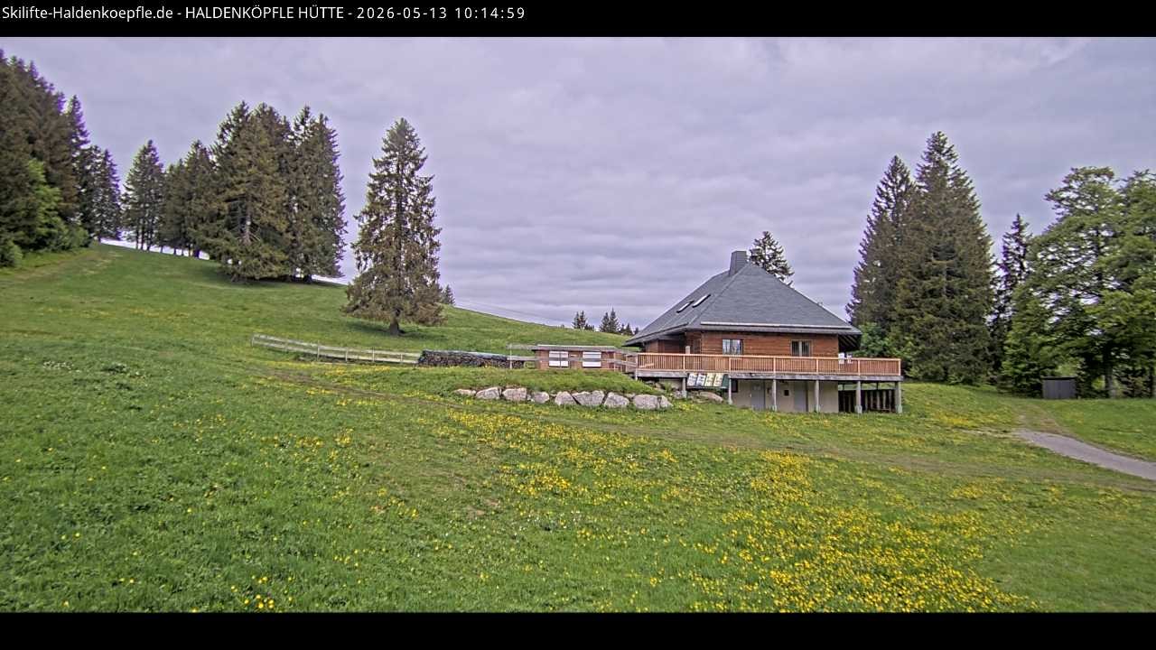 Archiv Foto Webcam Haldenköpfle im Schwarzwald - Hütte