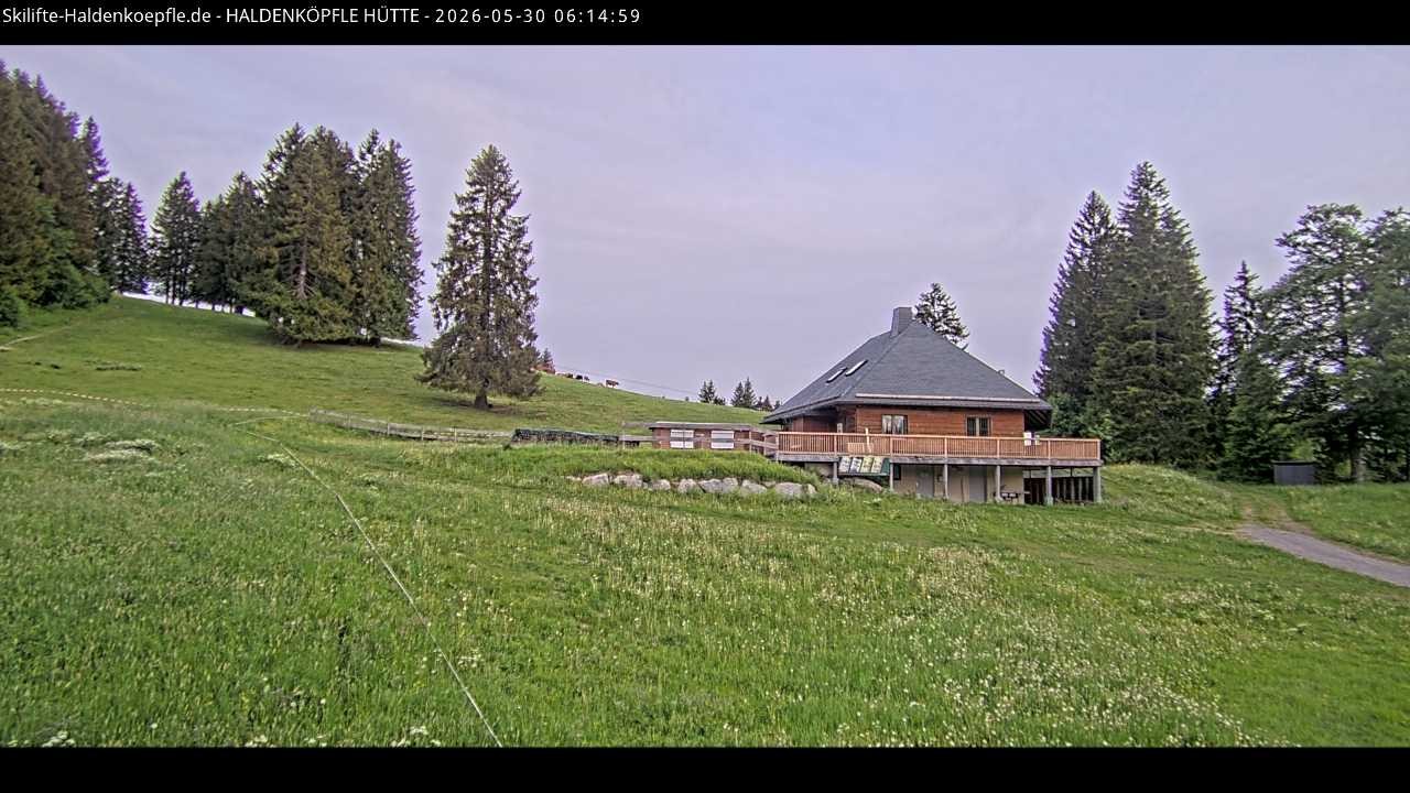 Archived image Webcam Haldenköpfle at Black Forest