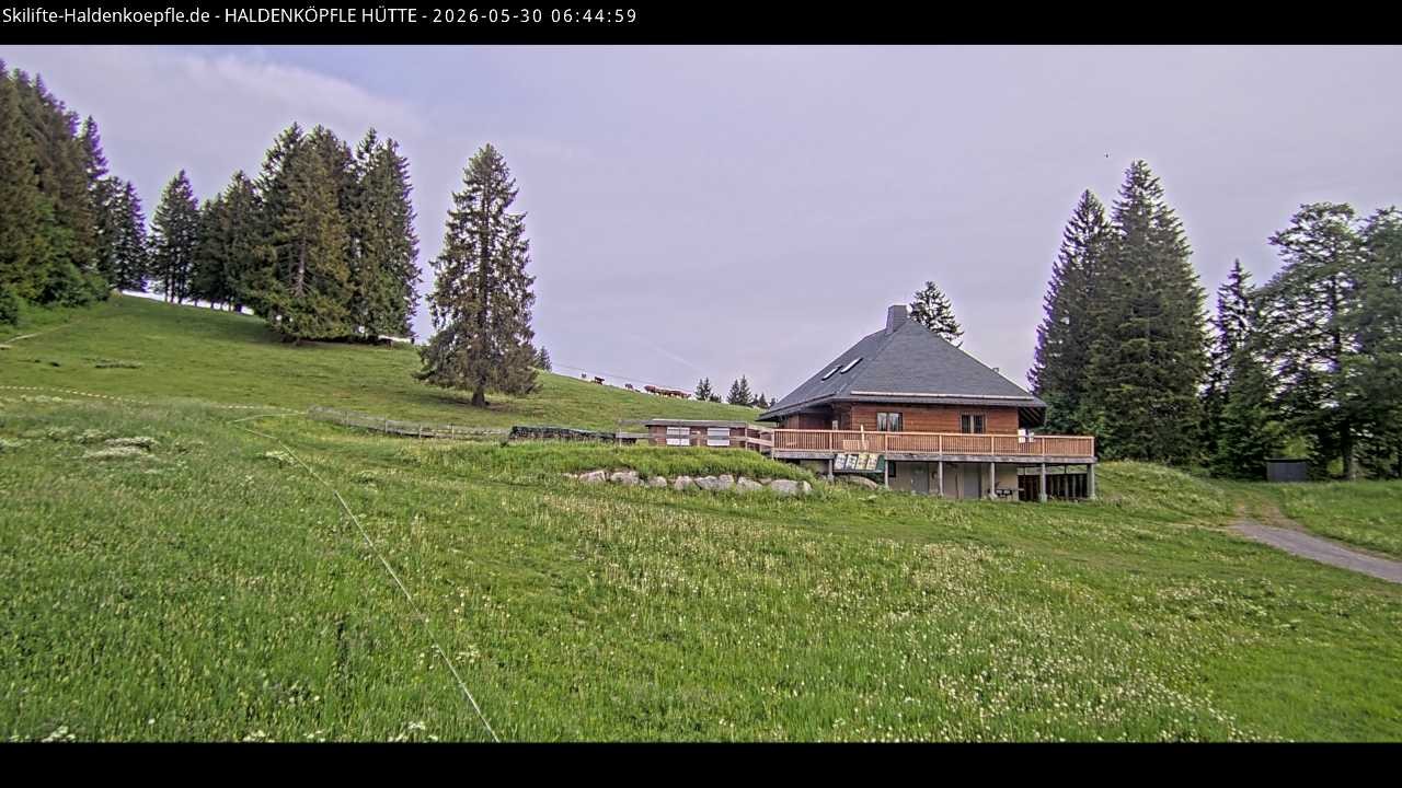 Archived image Webcam Haldenköpfle at Black Forest