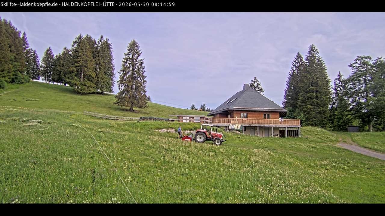 Archived image Webcam Haldenköpfle at Black Forest