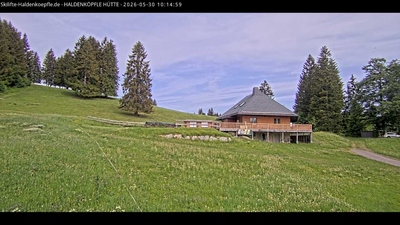 Archived image Webcam Haldenköpfle at Black Forest
