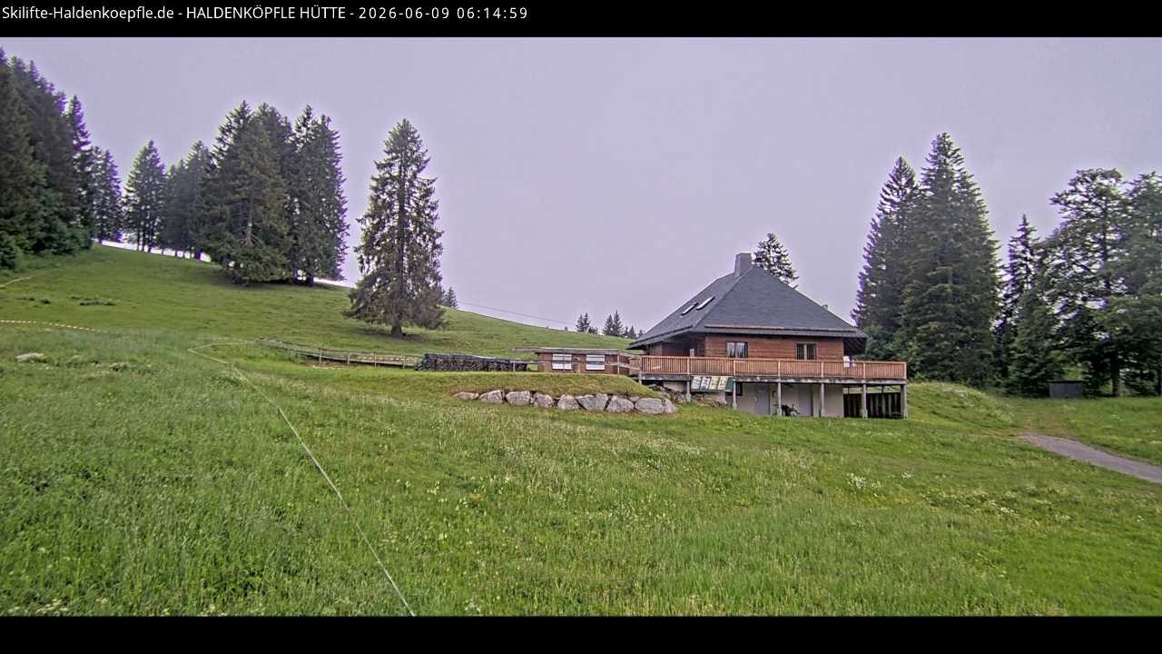 Archived image Webcam Haldenköpfle at Black Forest