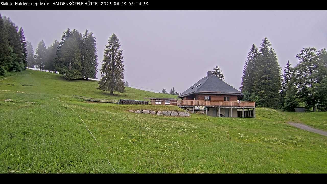 Archived image Webcam Haldenköpfle at Black Forest