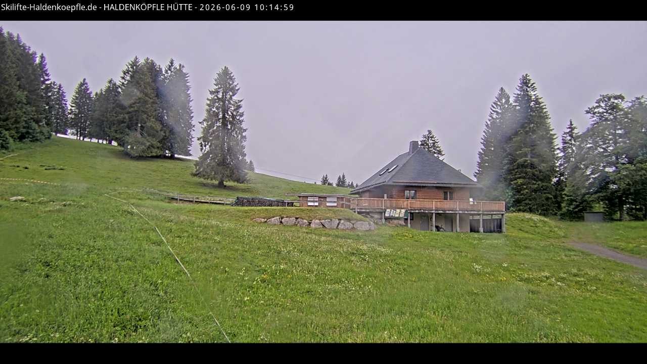 Archived image Webcam Haldenköpfle at Black Forest