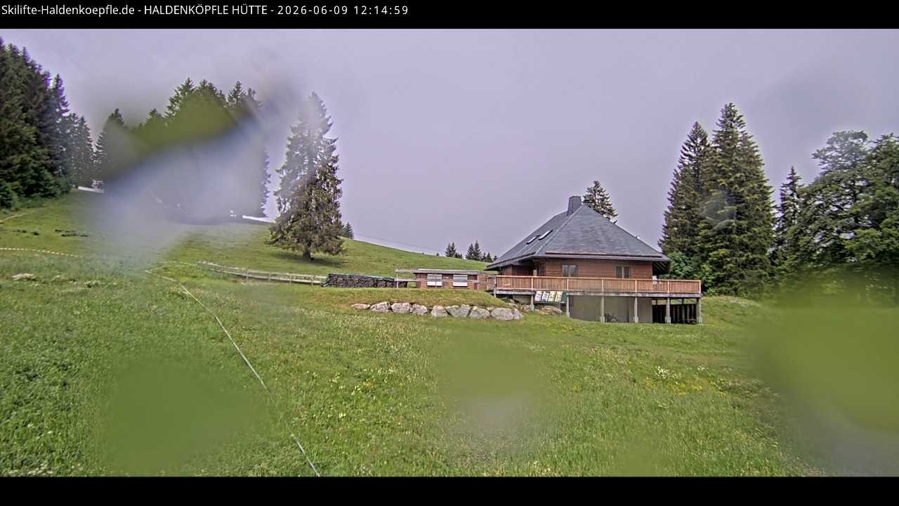 Archived image Webcam Haldenköpfle at Black Forest
