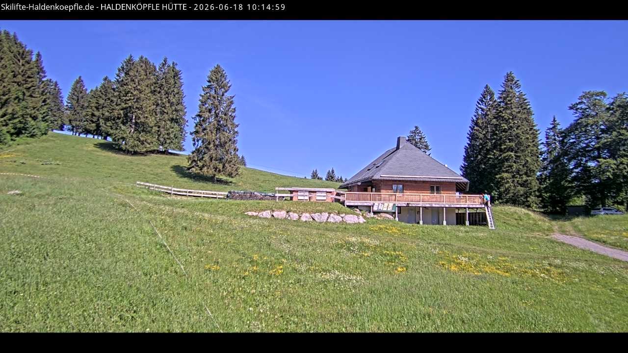 Archiv Foto Webcam Haldenköpfle im Schwarzwald - Hütte