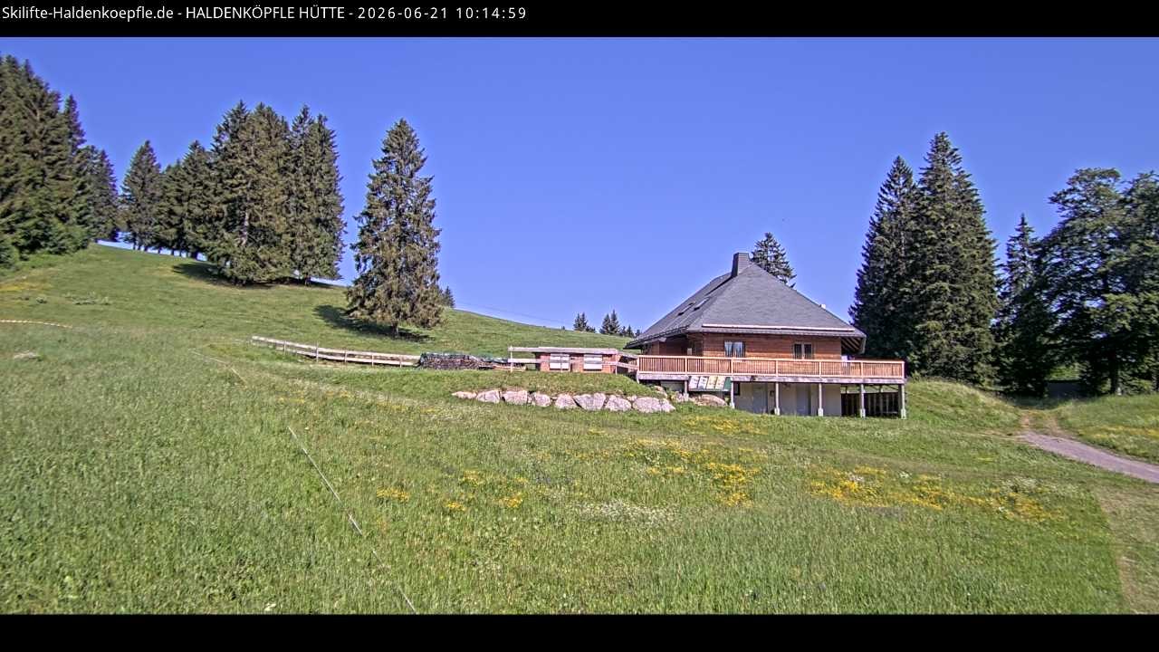 Archiv Foto Webcam Haldenköpfle im Schwarzwald - Hütte