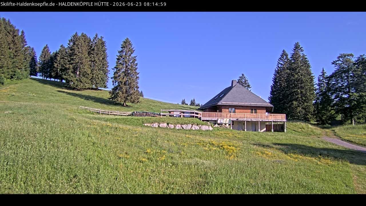 Archiv Foto Webcam Haldenköpfle im Schwarzwald - Hütte