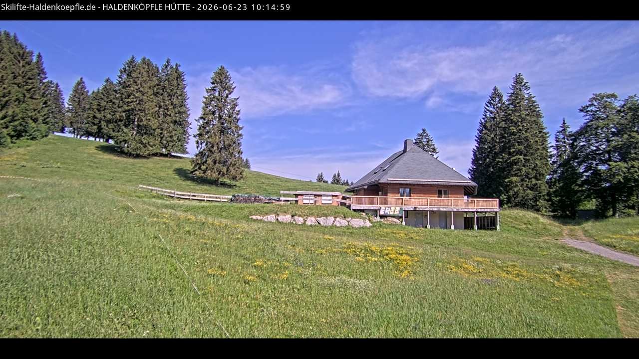 Archiv Foto Webcam Haldenköpfle im Schwarzwald - Hütte