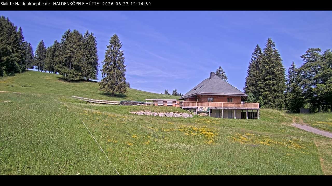Archiv Foto Webcam Haldenköpfle im Schwarzwald - Hütte