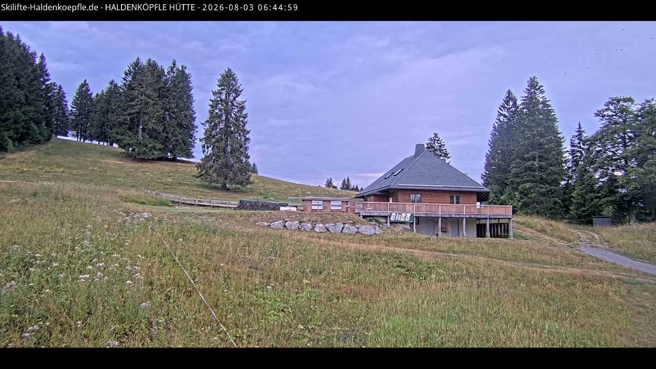 Archived image Webcam Haldenköpfle at Black Forest