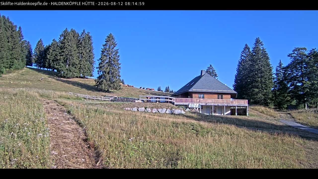 Archiv Foto Webcam Haldenköpfle im Schwarzwald - Hütte