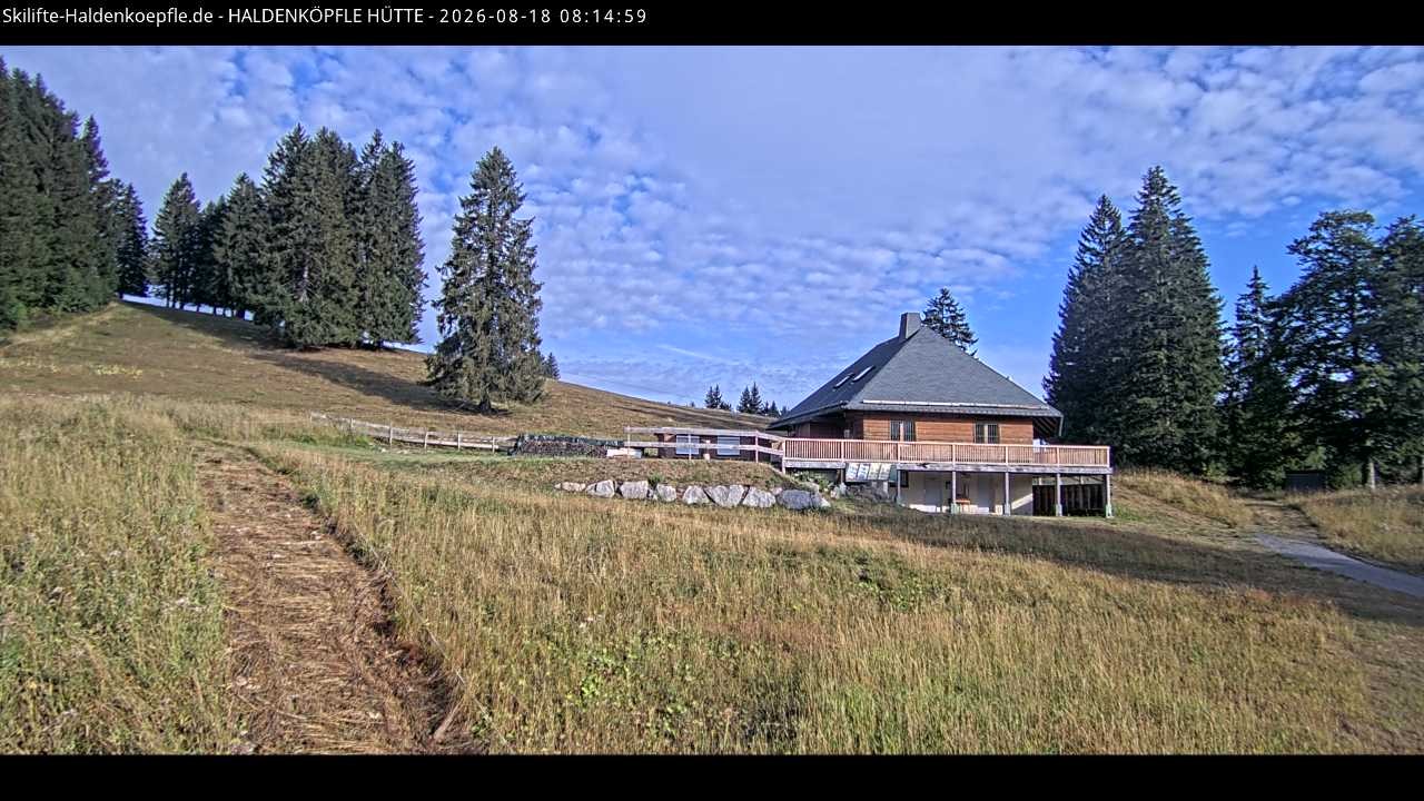 Archiv Foto Webcam Haldenköpfle im Schwarzwald - Hütte