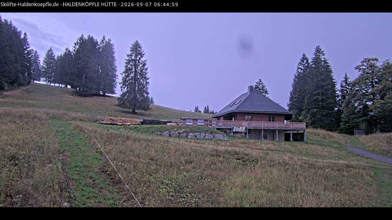 Archiv Foto Webcam Haldenköpfle im Schwarzwald - Hütte
