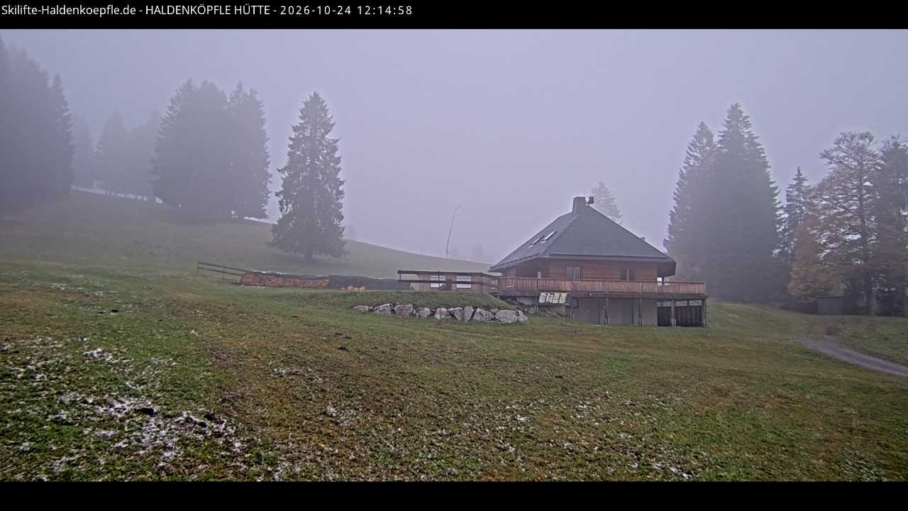 Archived image Webcam Haldenköpfle at Black Forest