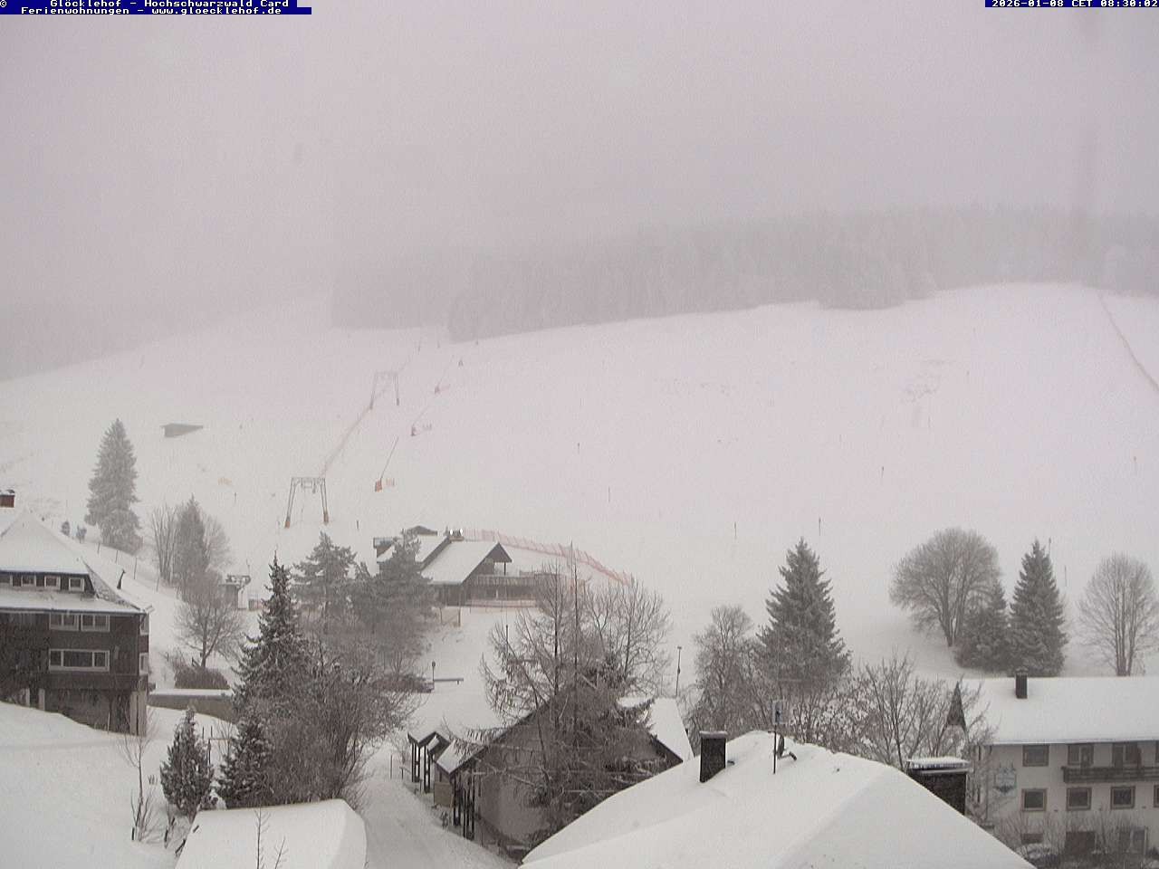 Archiv Foto Webcam Todtnau: Pension Glöcklehof