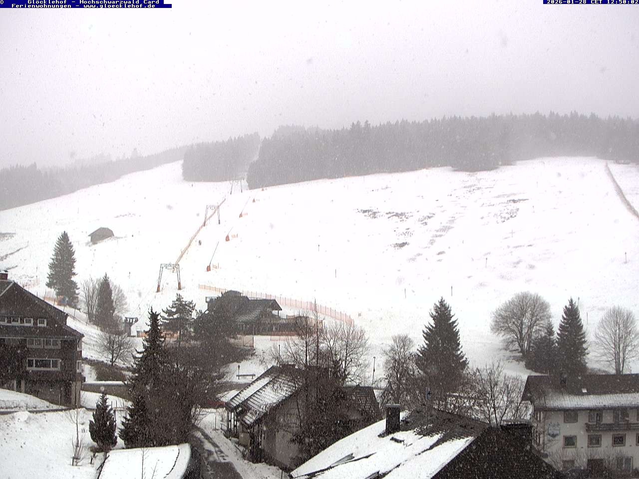 Archiv Foto Webcam Todtnau: Pension Glöcklehof