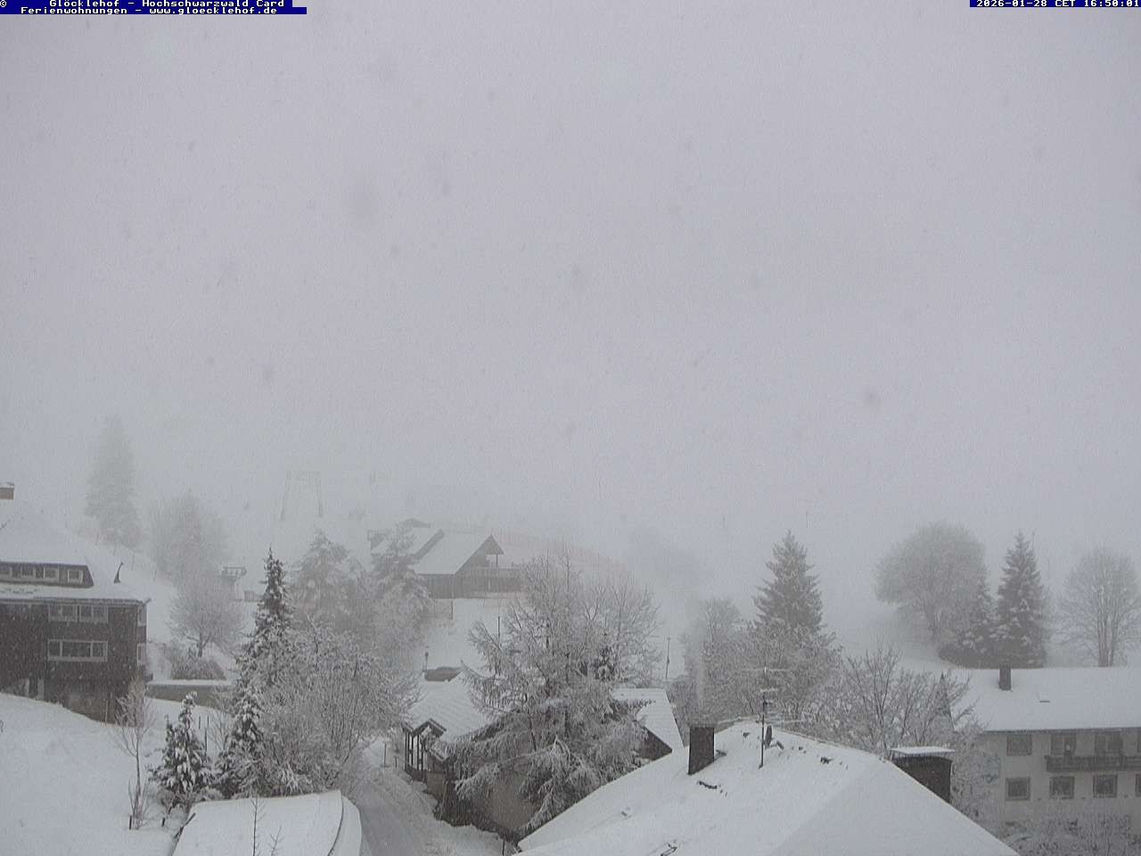 Archiv Foto Webcam Todtnau: Pension Glöcklehof