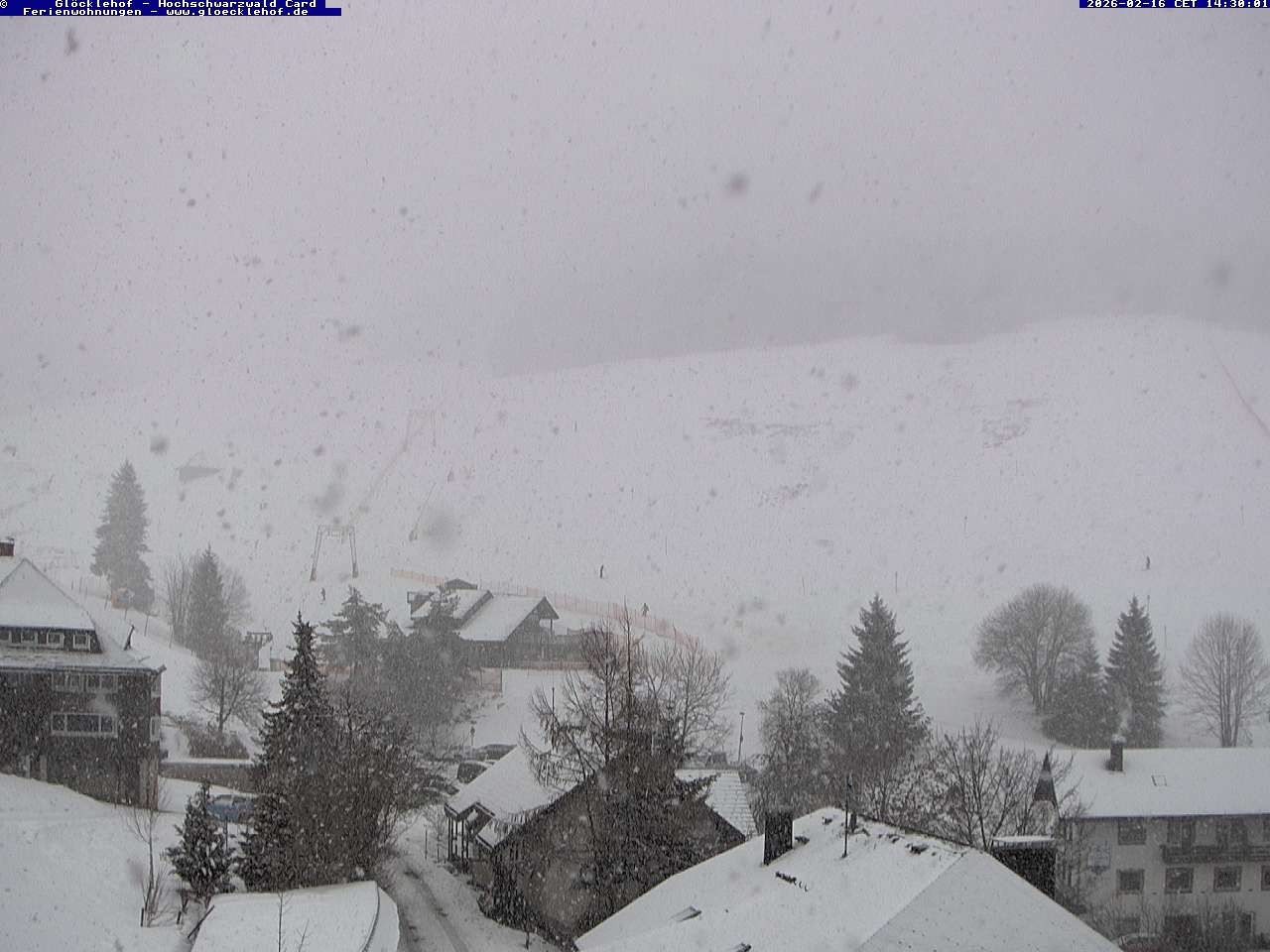 Archiv Foto Webcam Todtnau: Pension Glöcklehof