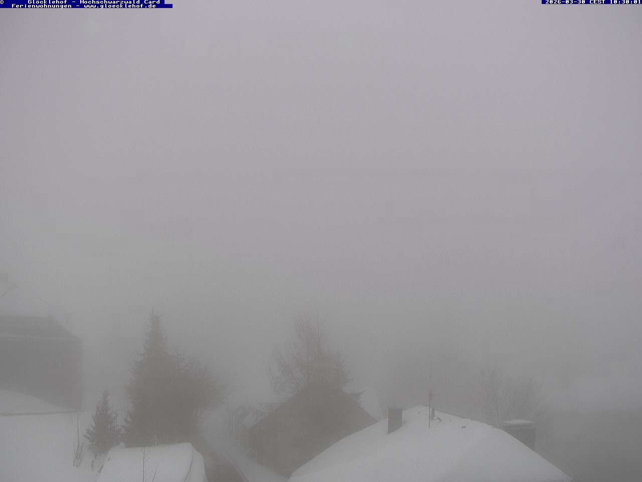 Archiv Foto Webcam Todtnau: Pension Glöcklehof